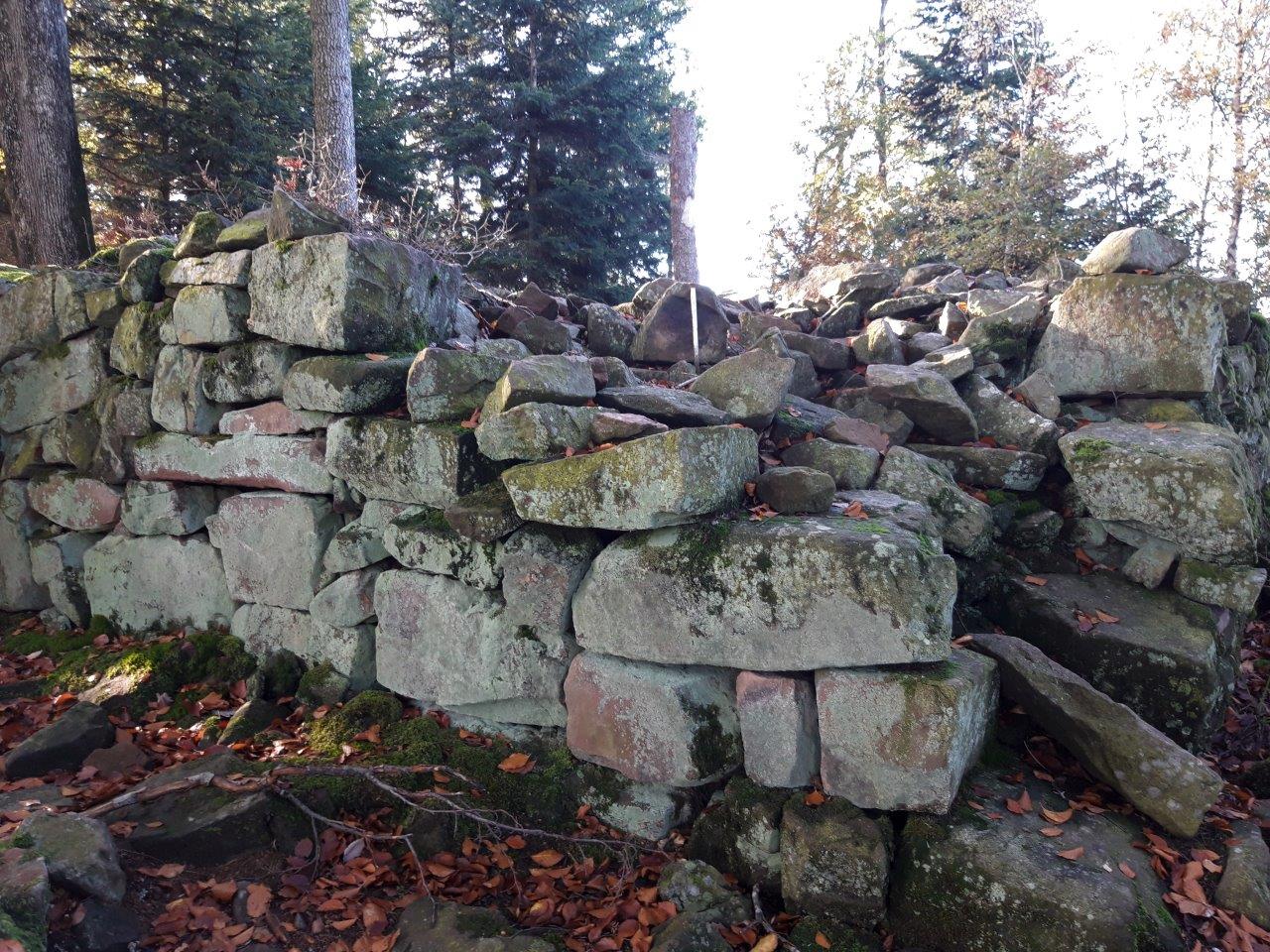 Ruines du petit Ringelstein