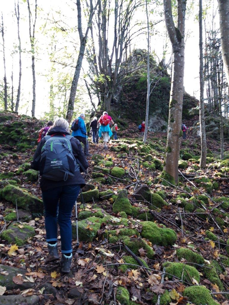 Montée raide vers le grand Ringelstein