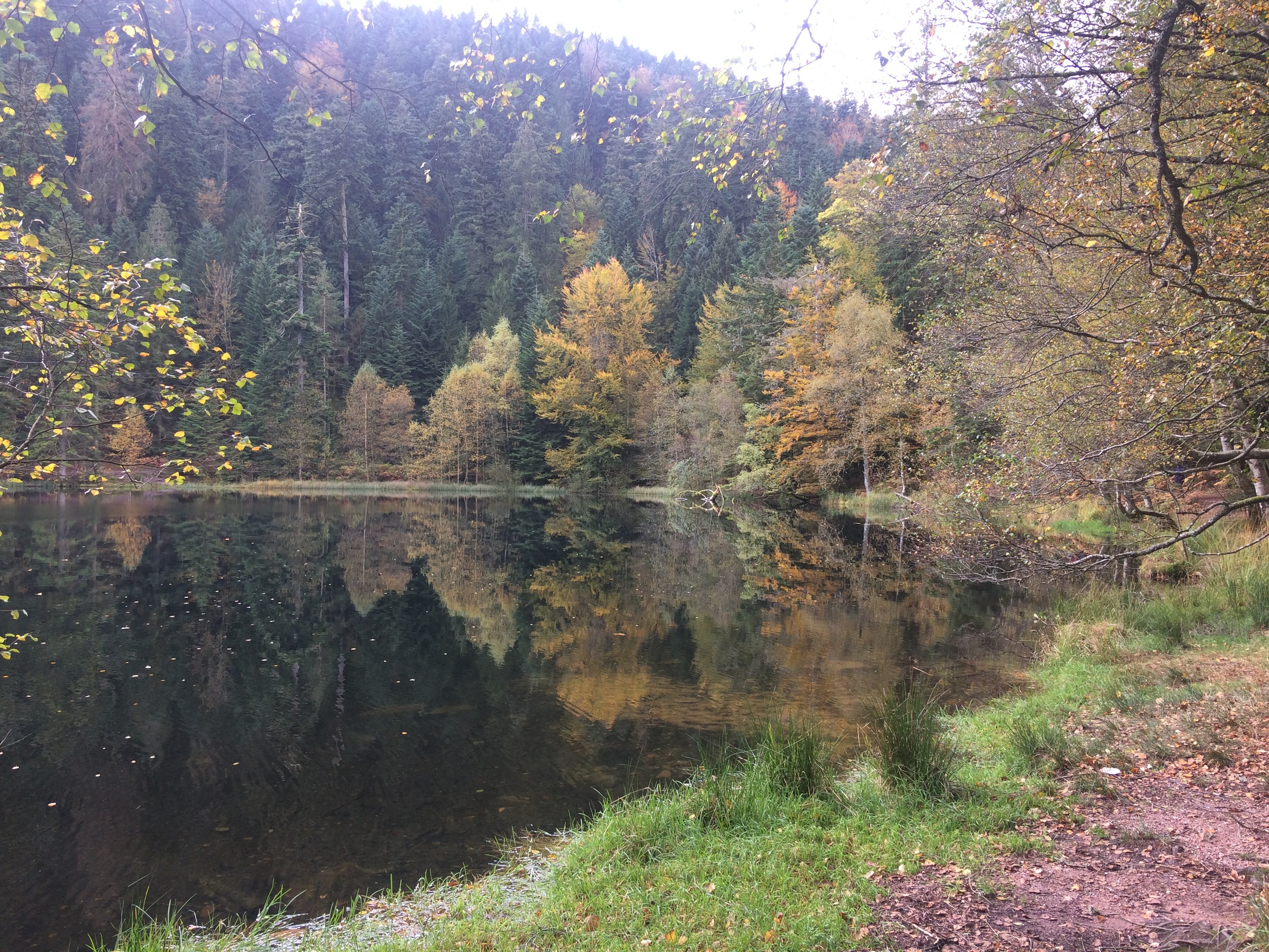 Couleurs d'automne du lac de la Maix