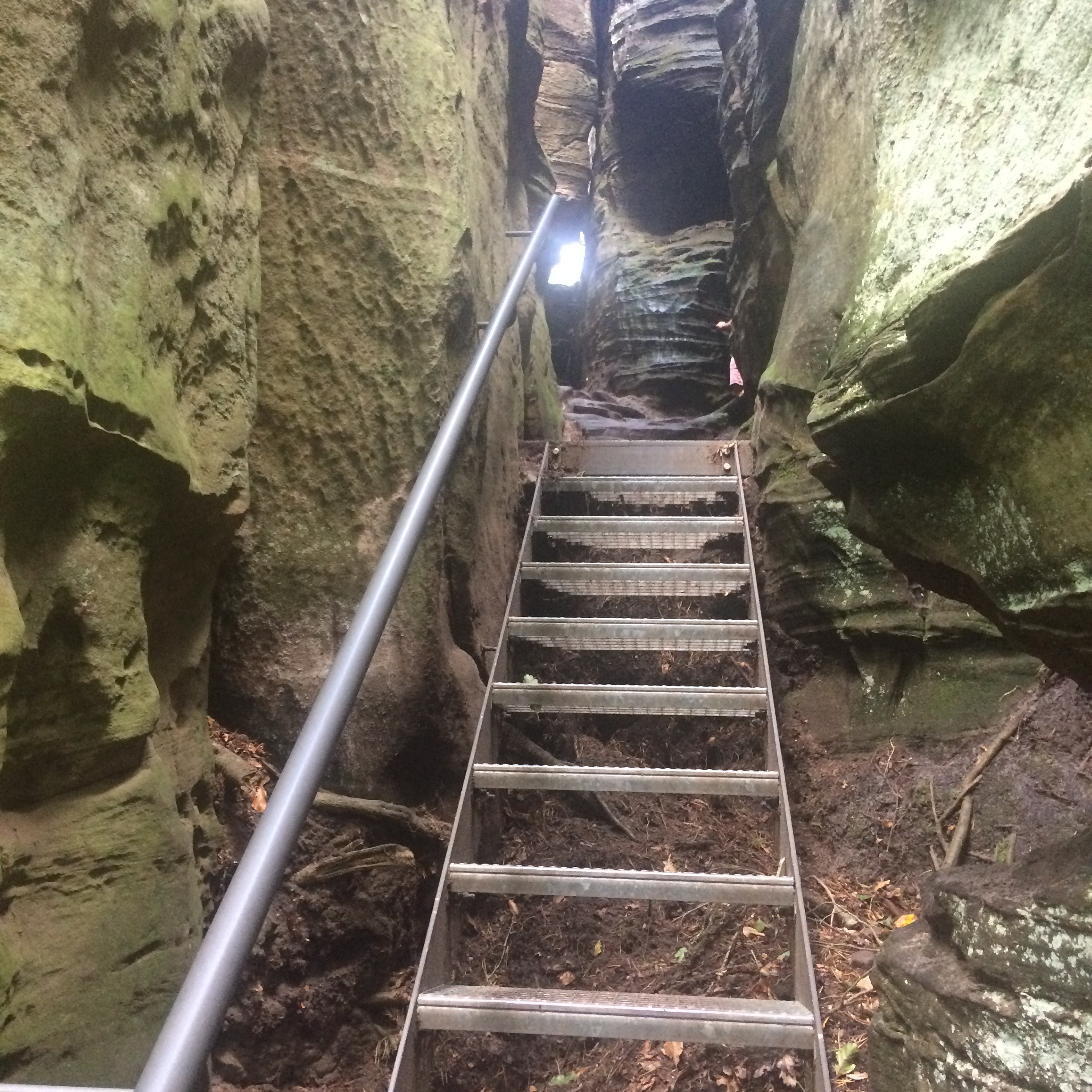 Dans le labyrinthe du Mullerthal
