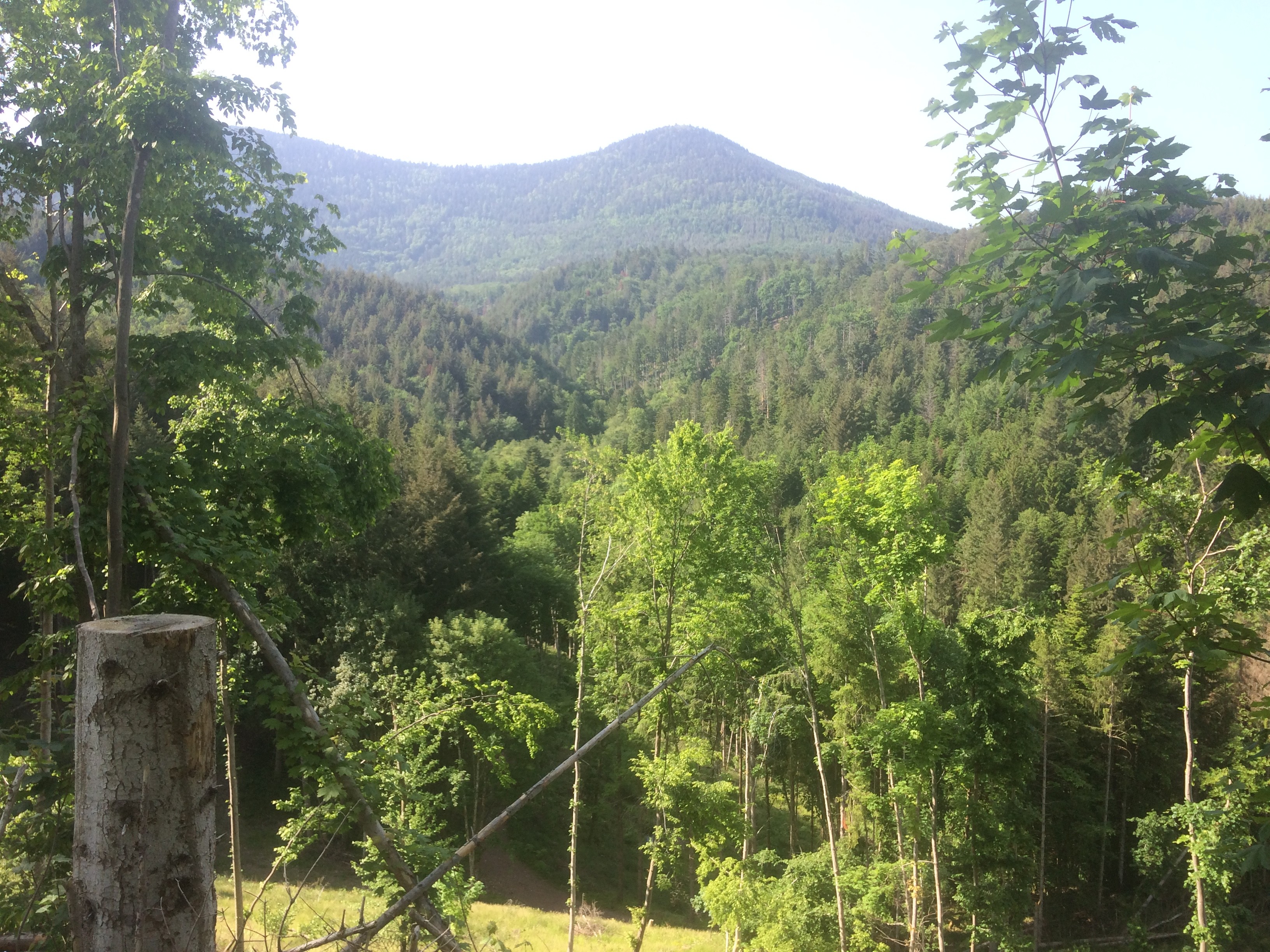 De beaux vallons boisés 
