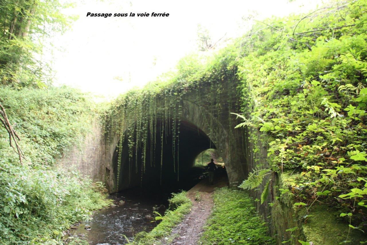 Tunnel sous la voie ferrée