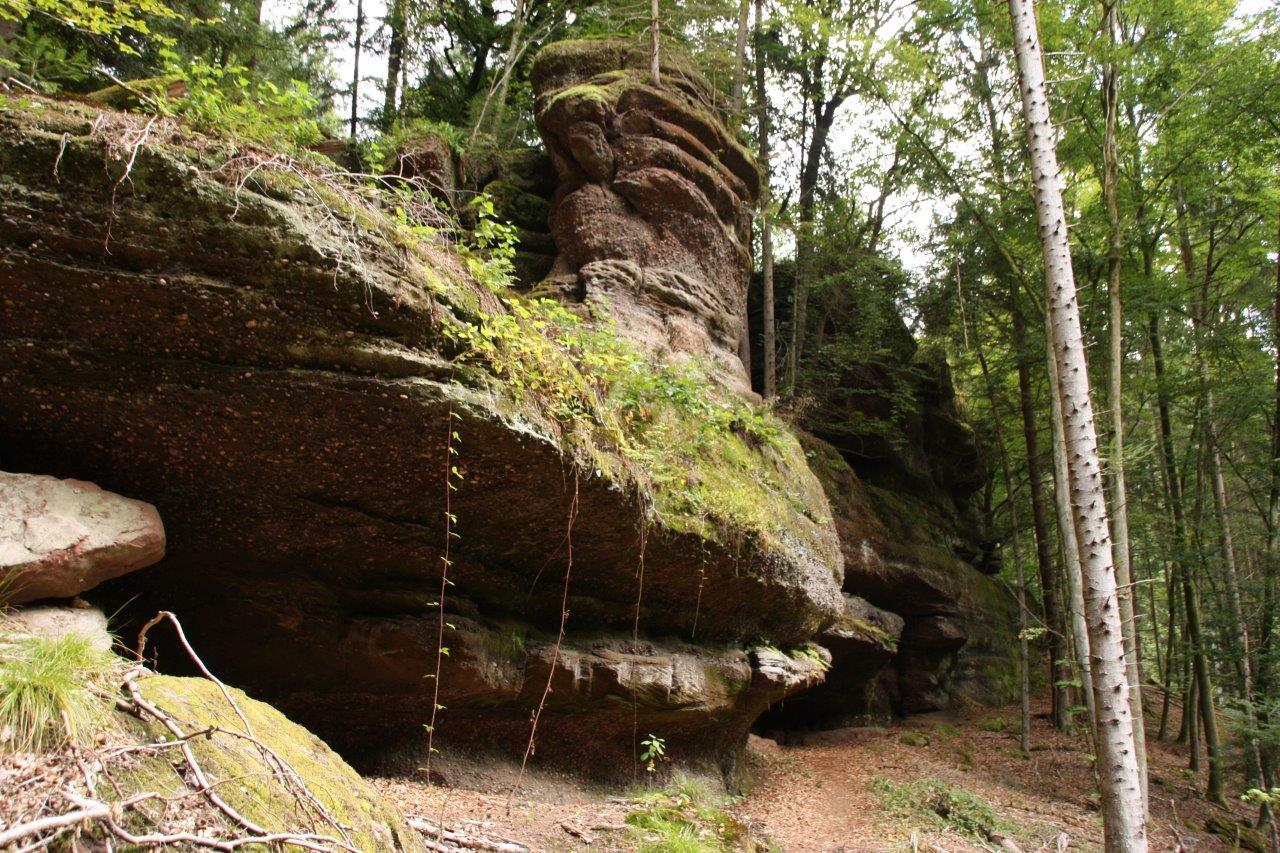 Le sentier des roches