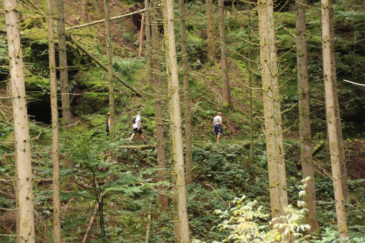 Sur le sentier des roches