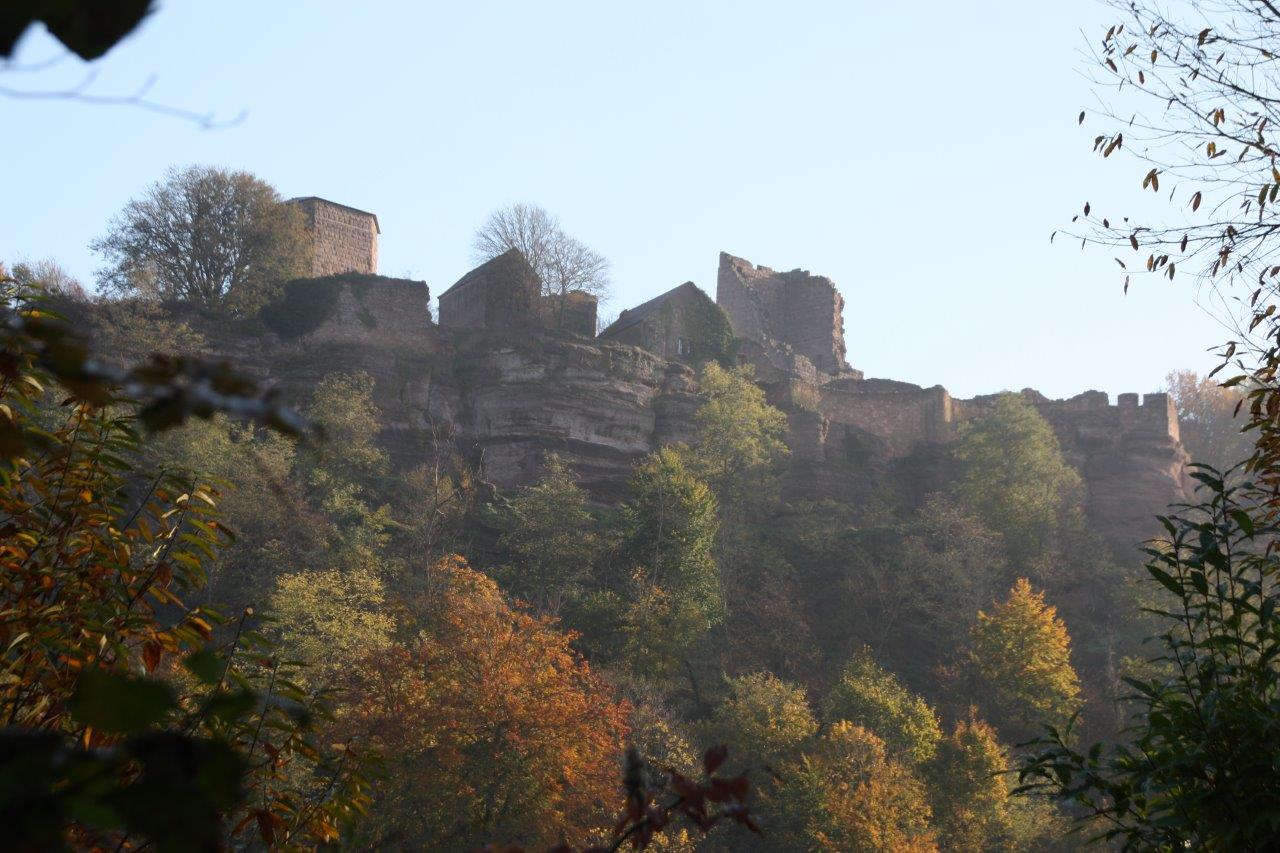 Belle vue sur le château de Lutzelbourg