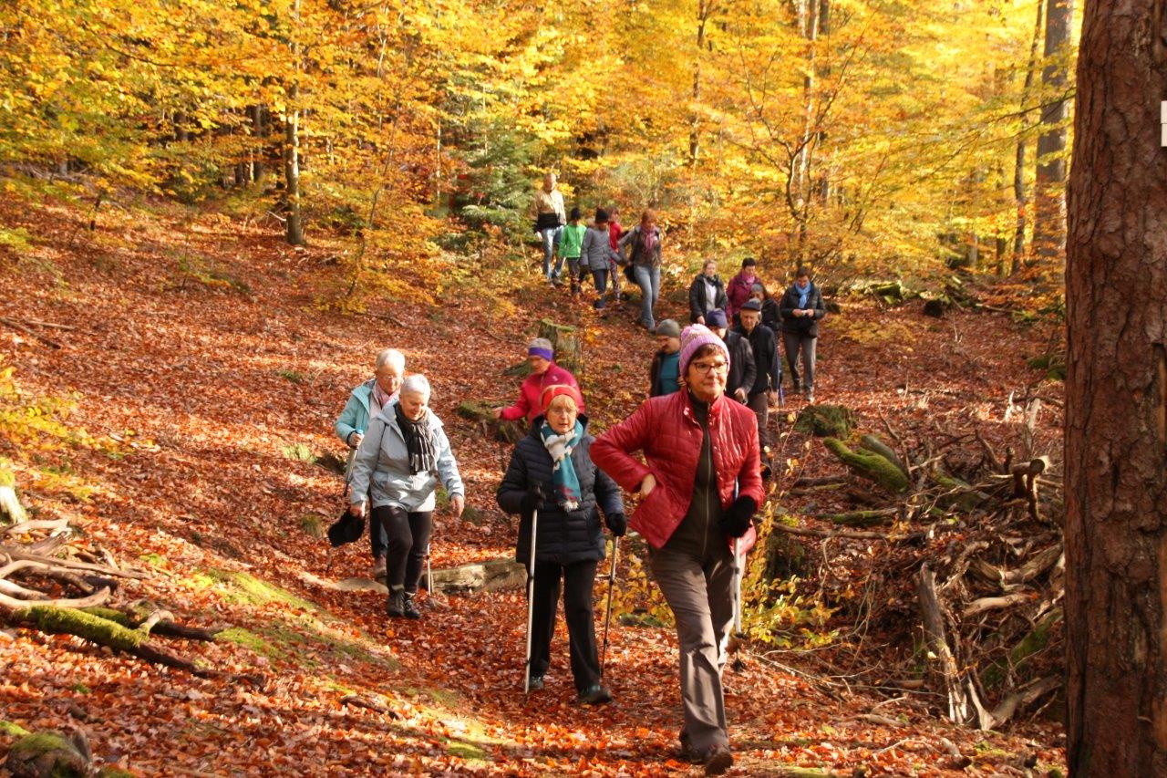 Sur le sentier du Buchholzkopf