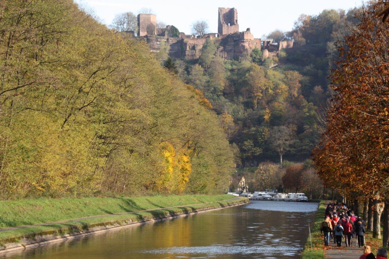 Encore un belle vue sur le château de Lutzelbourg