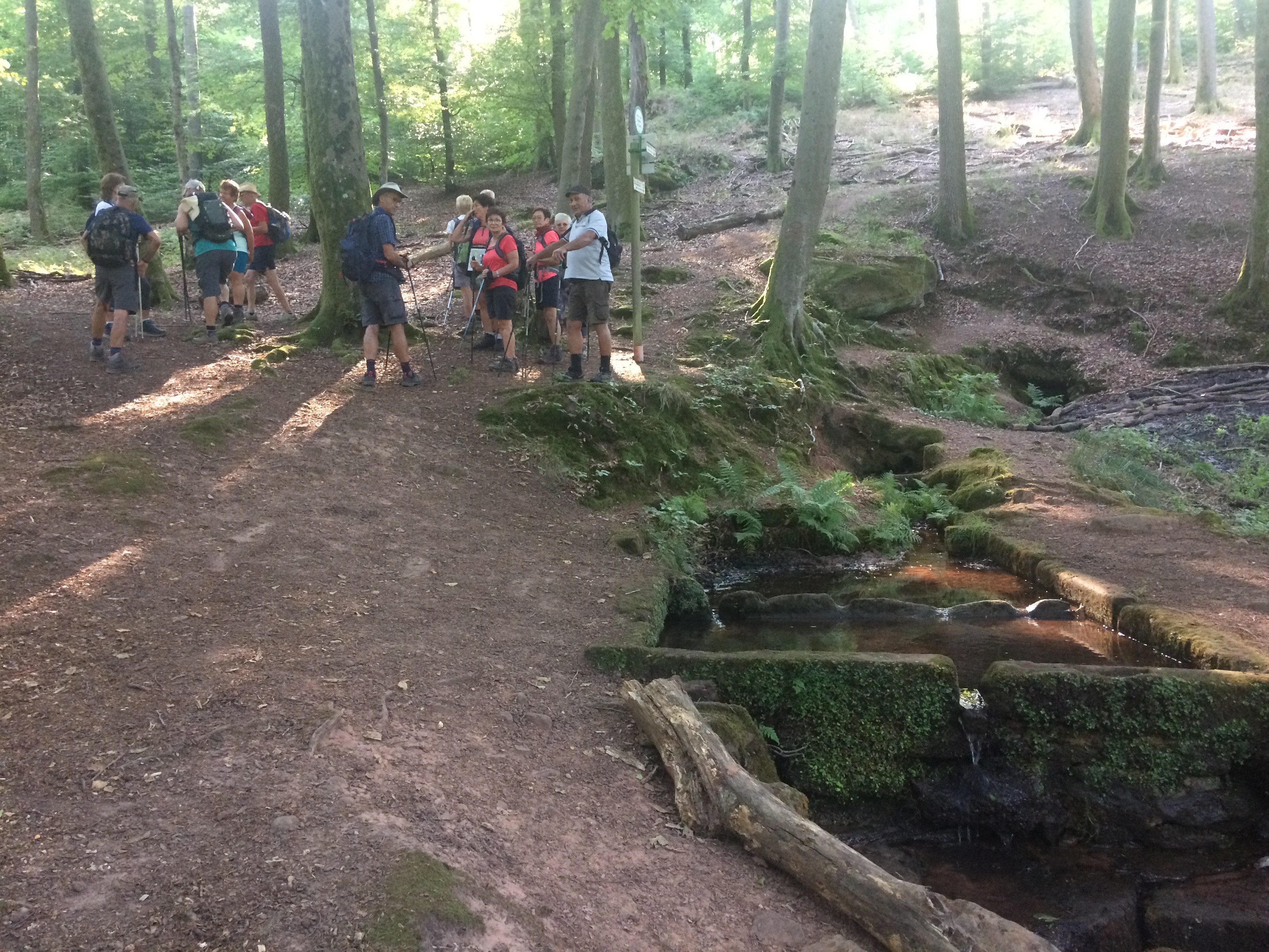 La source St Hubert à LEMBERG