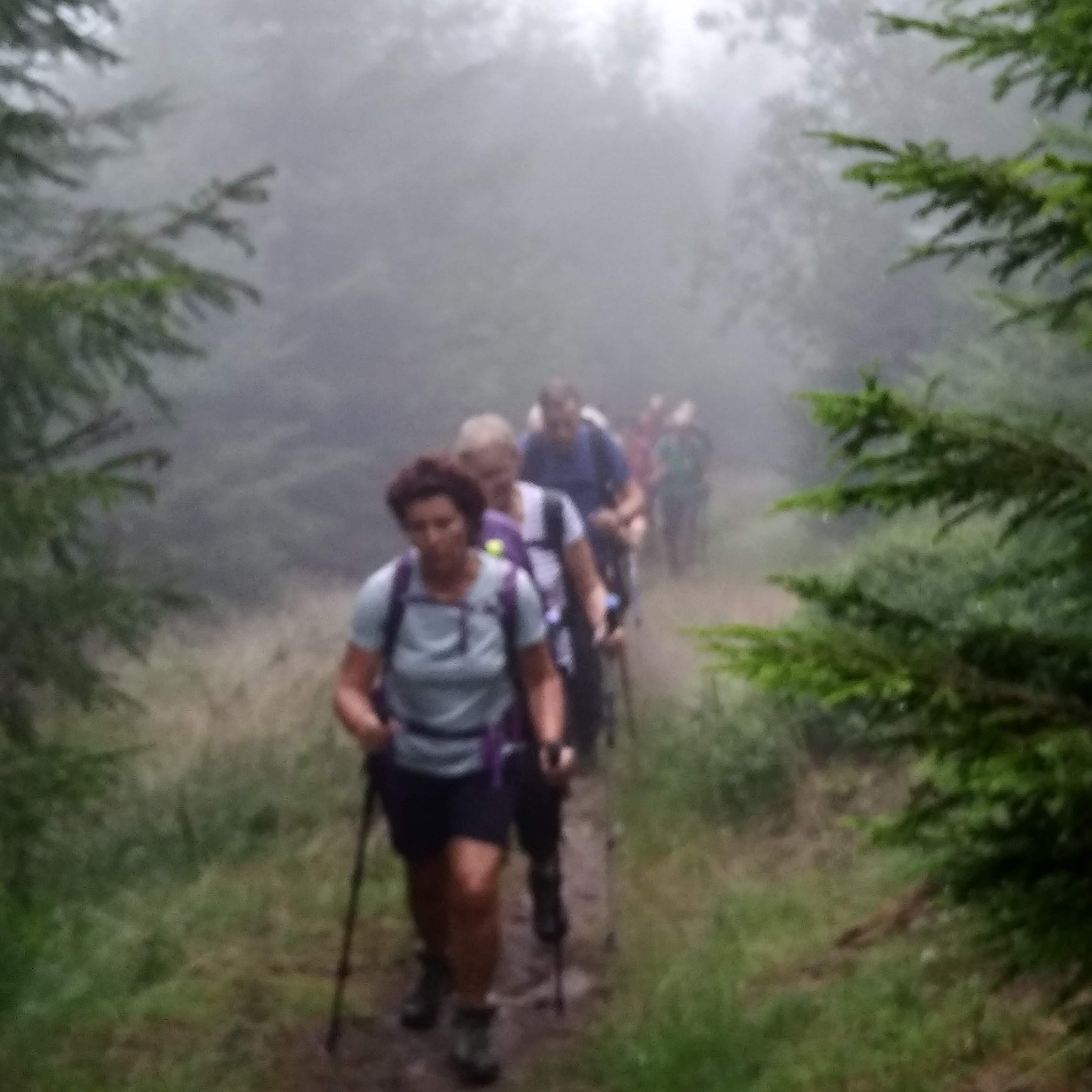 Le brouillard avant le soleil