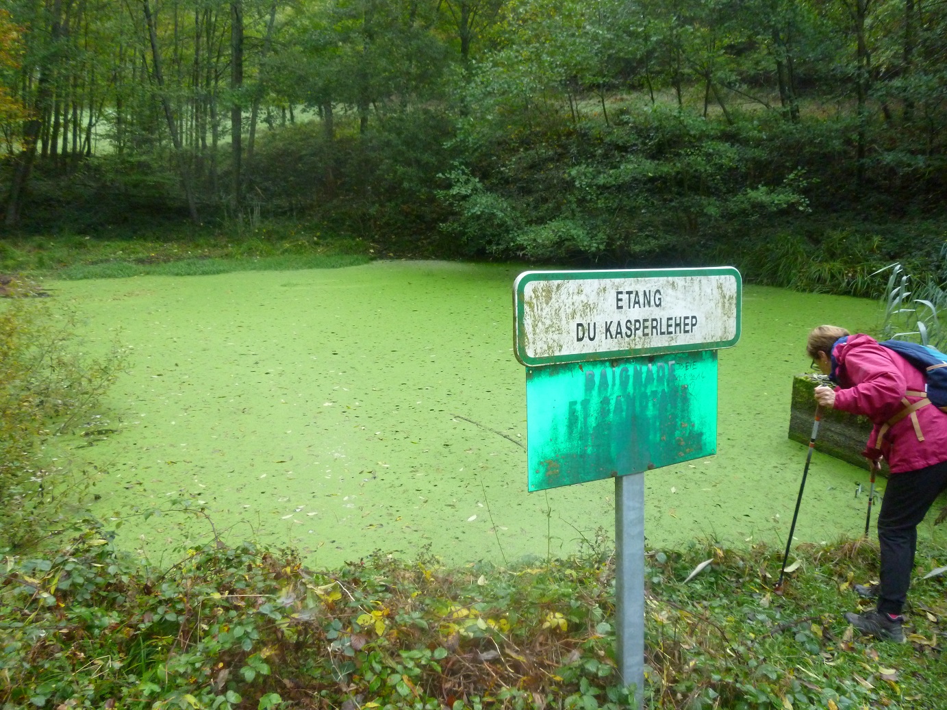 Etang du Kasperlehep