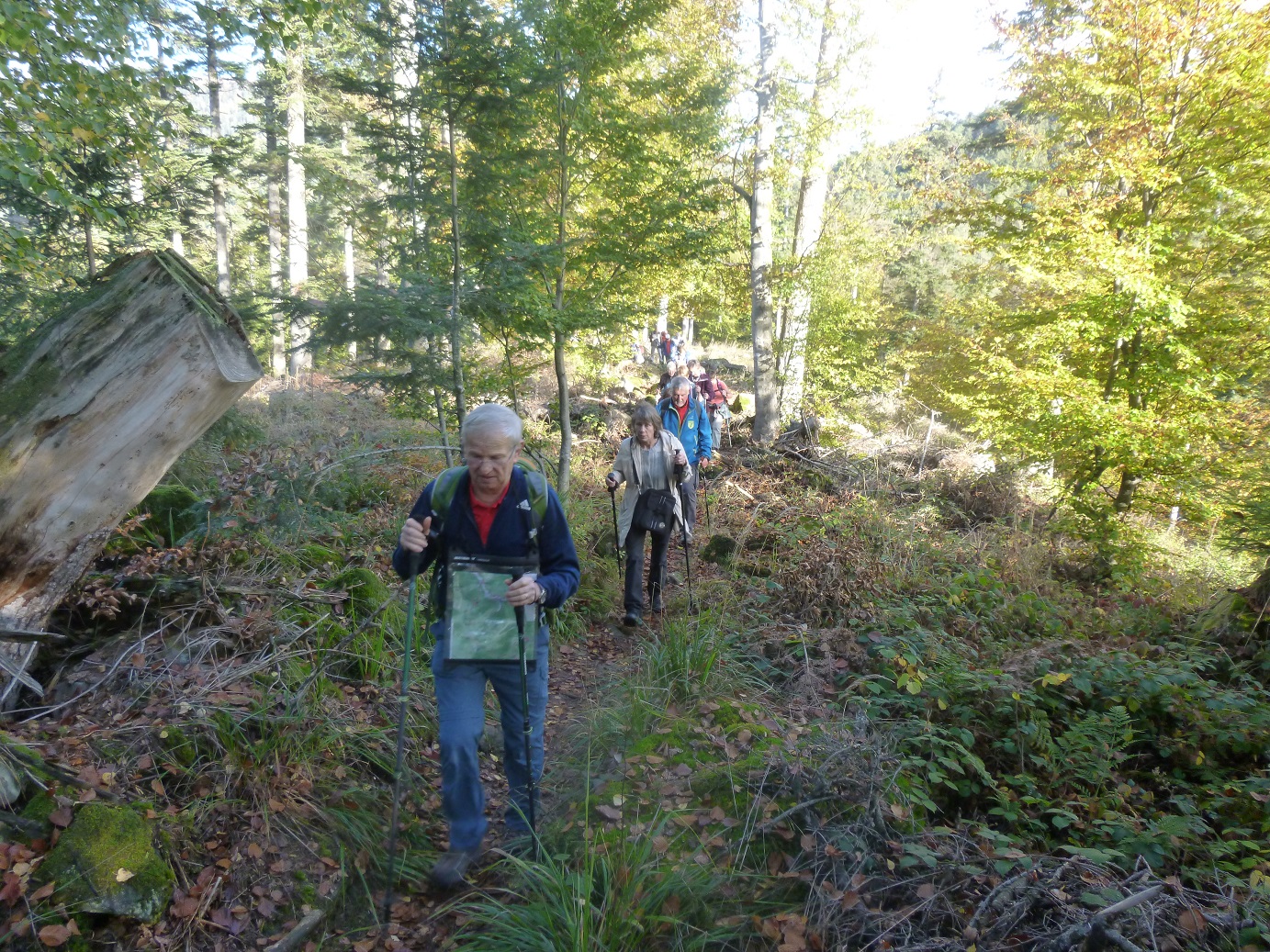 Montée vers le petit Ringelstein - 642 m