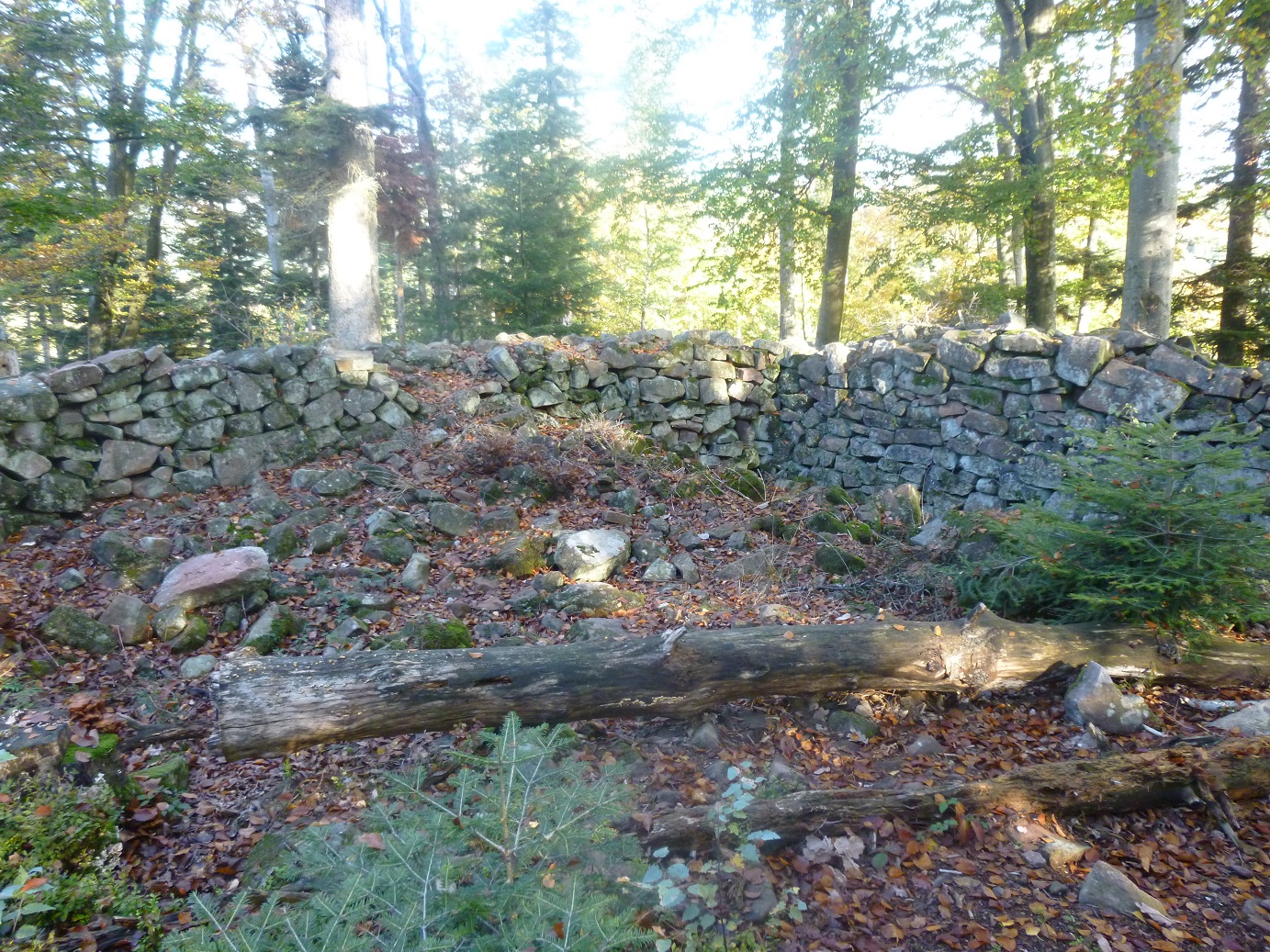 Ruines du petit Ringelstein