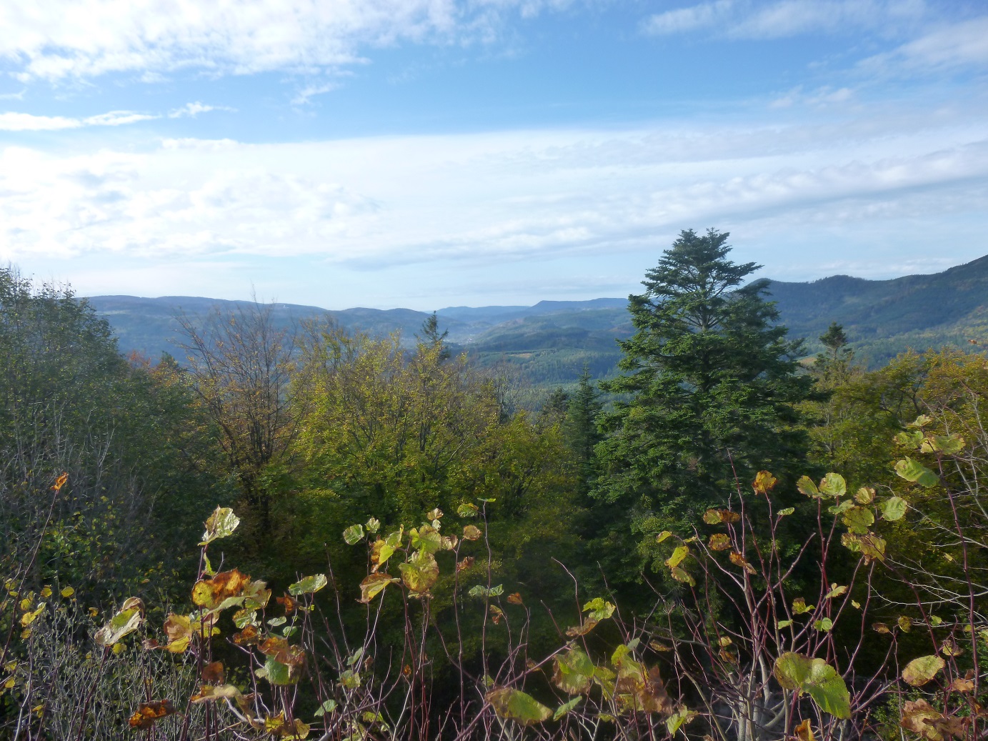 Vue sur le massif 