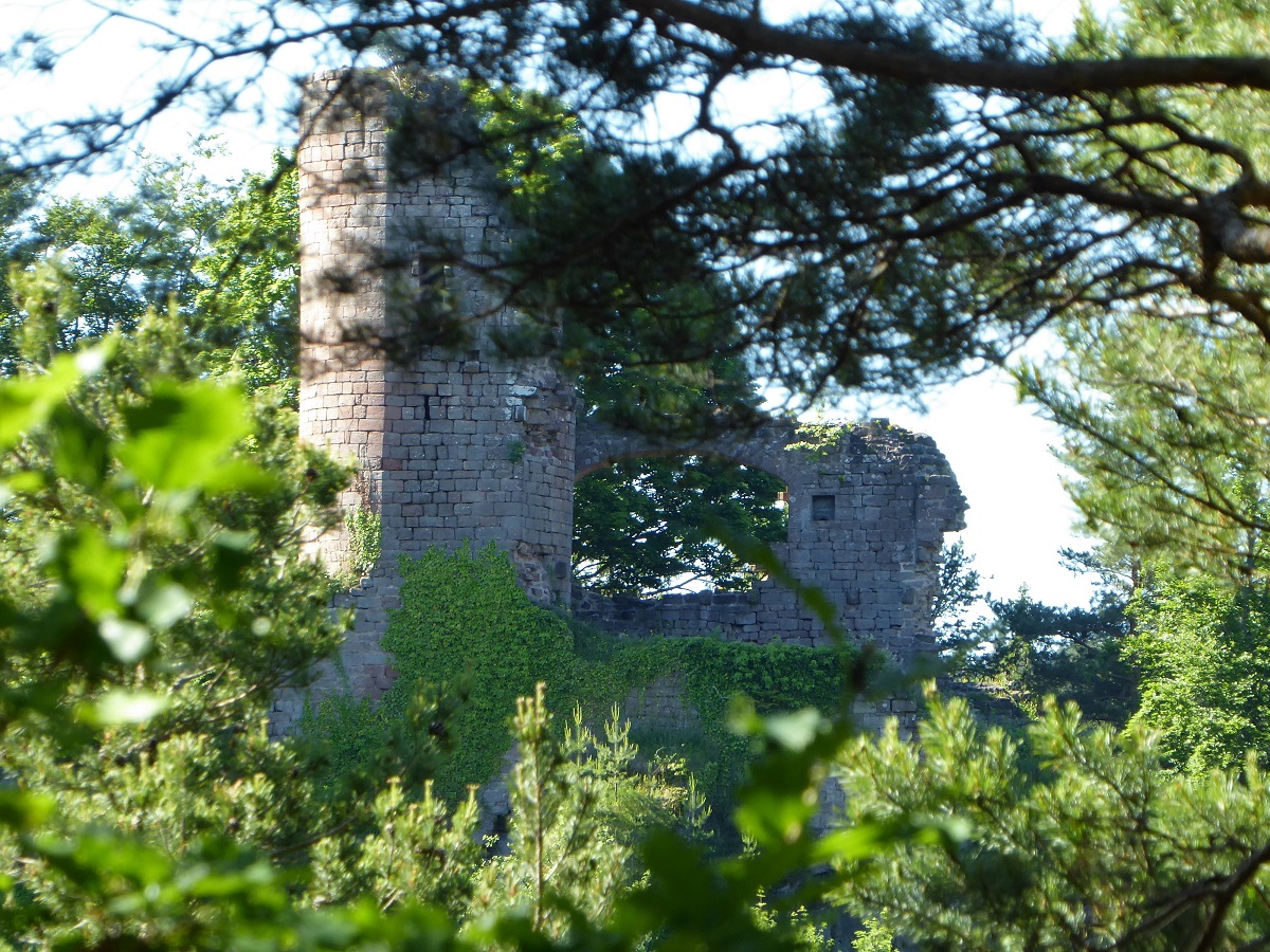 Ruines du Dreistein
