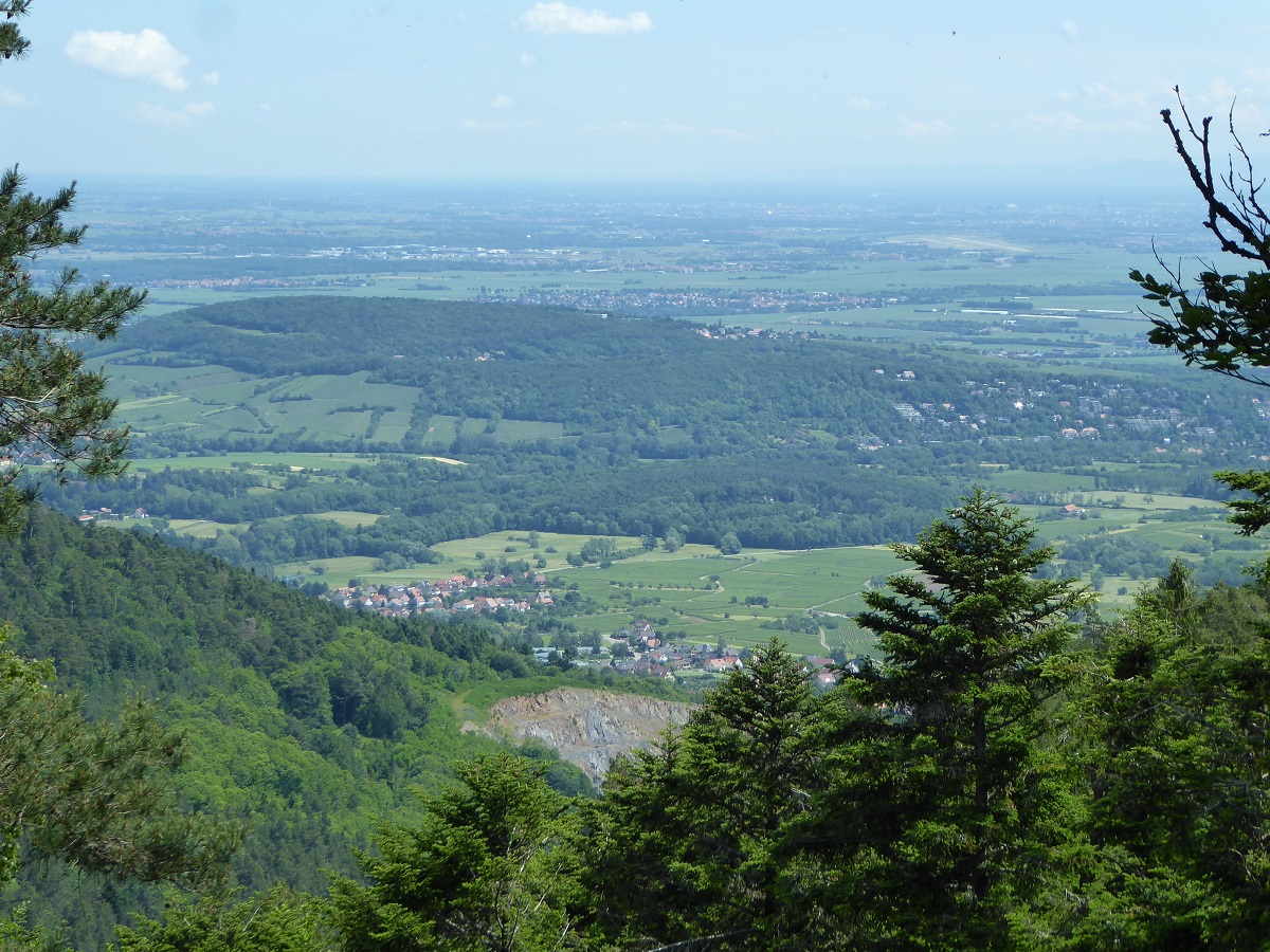 Vue sur la plaine d'Alsace