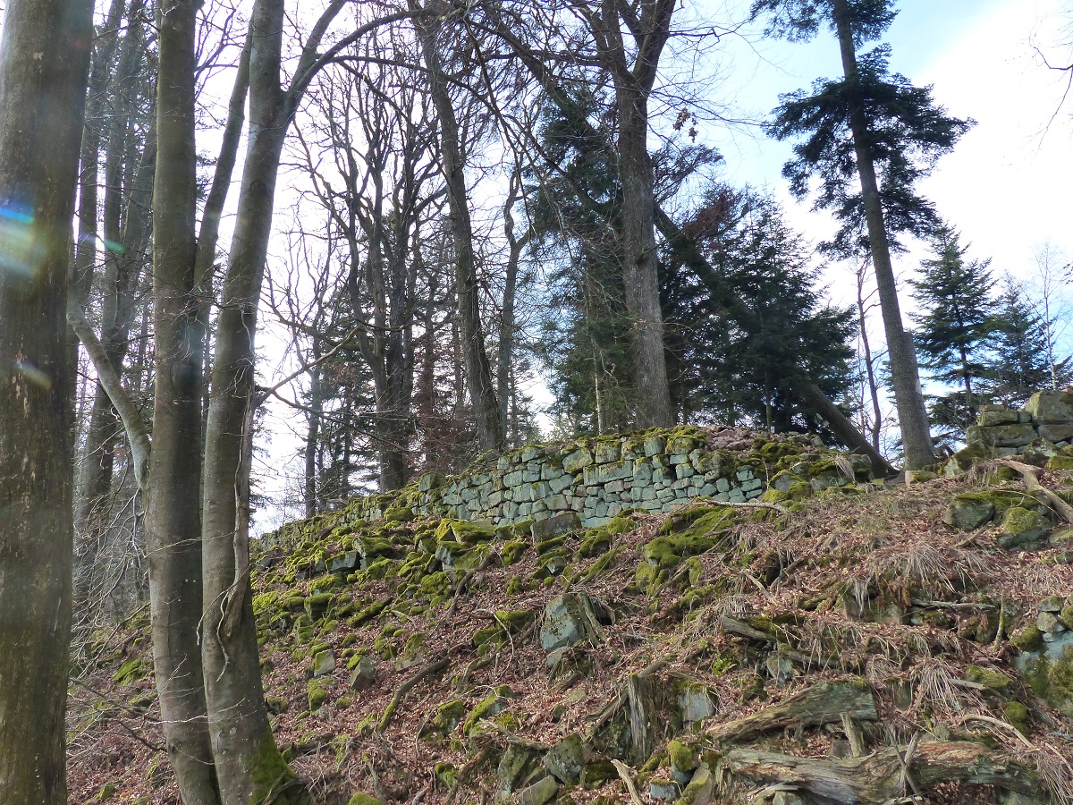 Ruines du petit Ringelstein