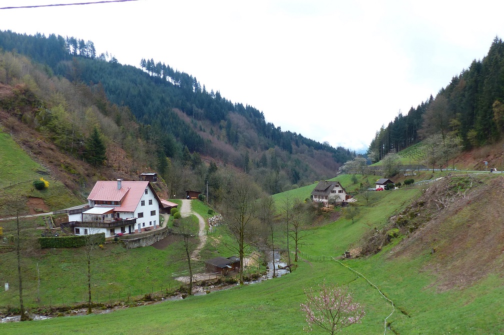 1er jour : Oppenau - Allerheiligen - le Lierbachtal