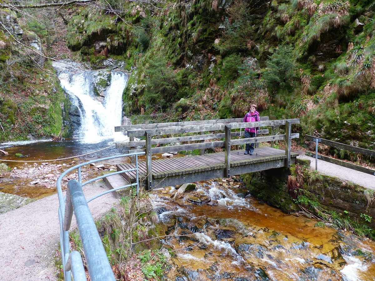 Passerelle au-dessus du ruisseau