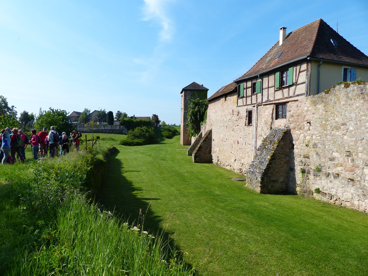 Enceinte médiévale de Bergheim