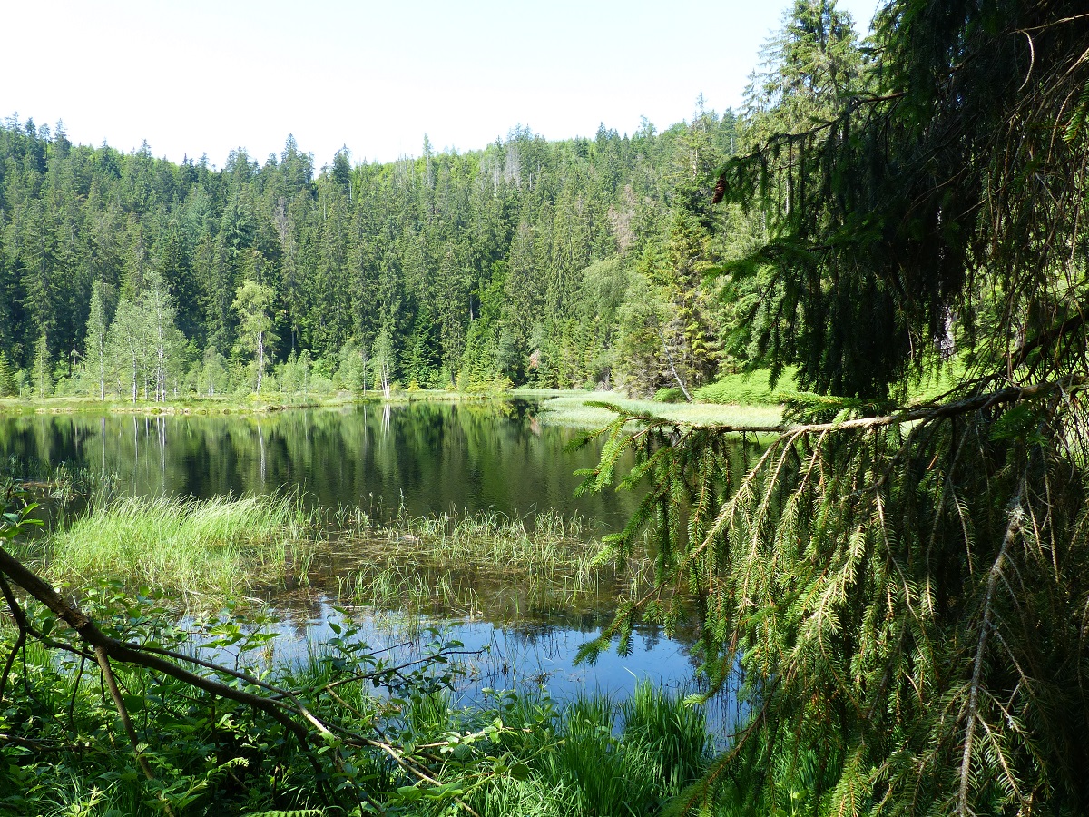 2ème jour : Bulbachsee