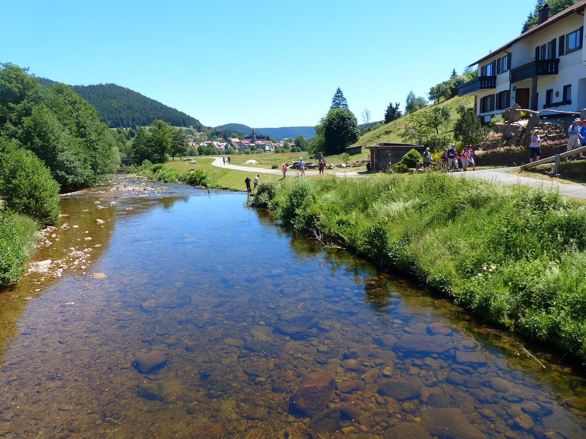 Le long de la Murg à Mitteltal