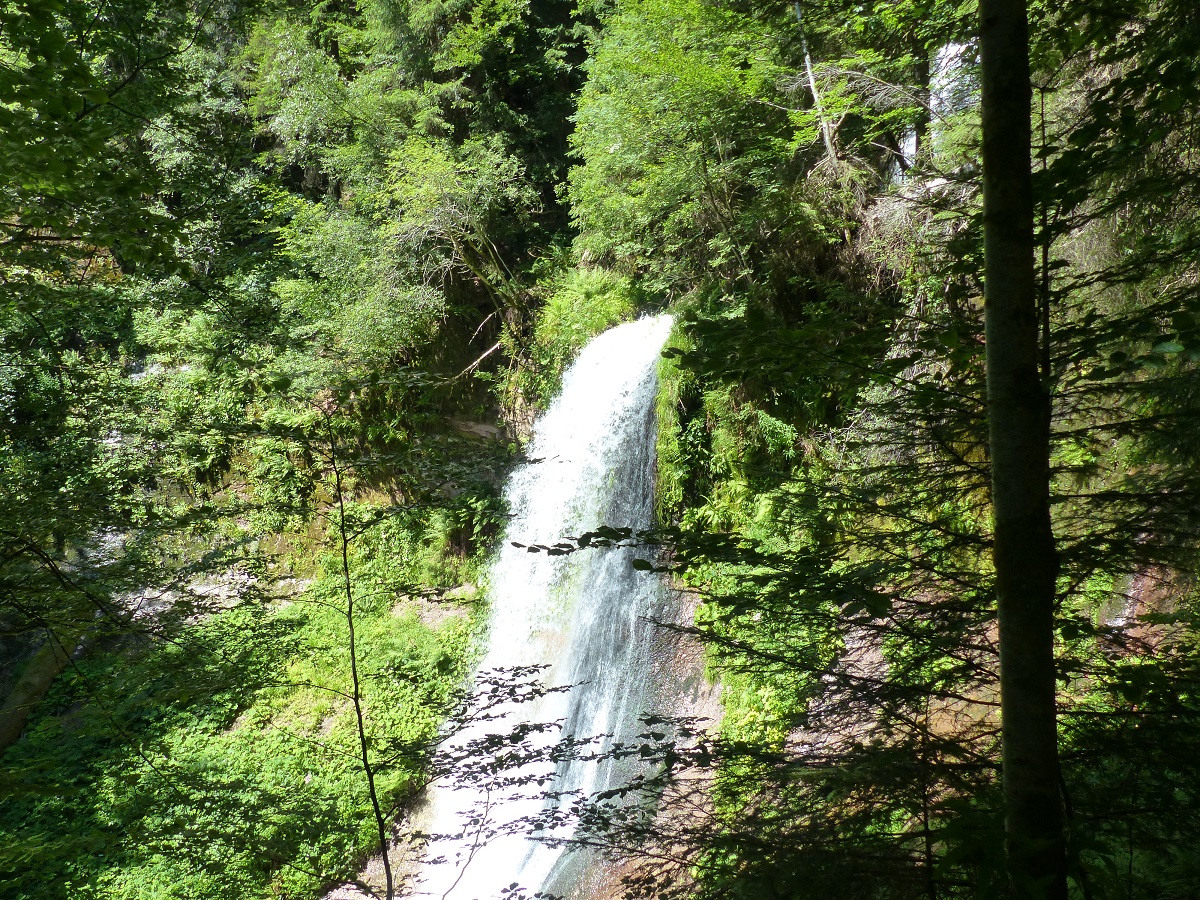 Sankenbachwasserfälle