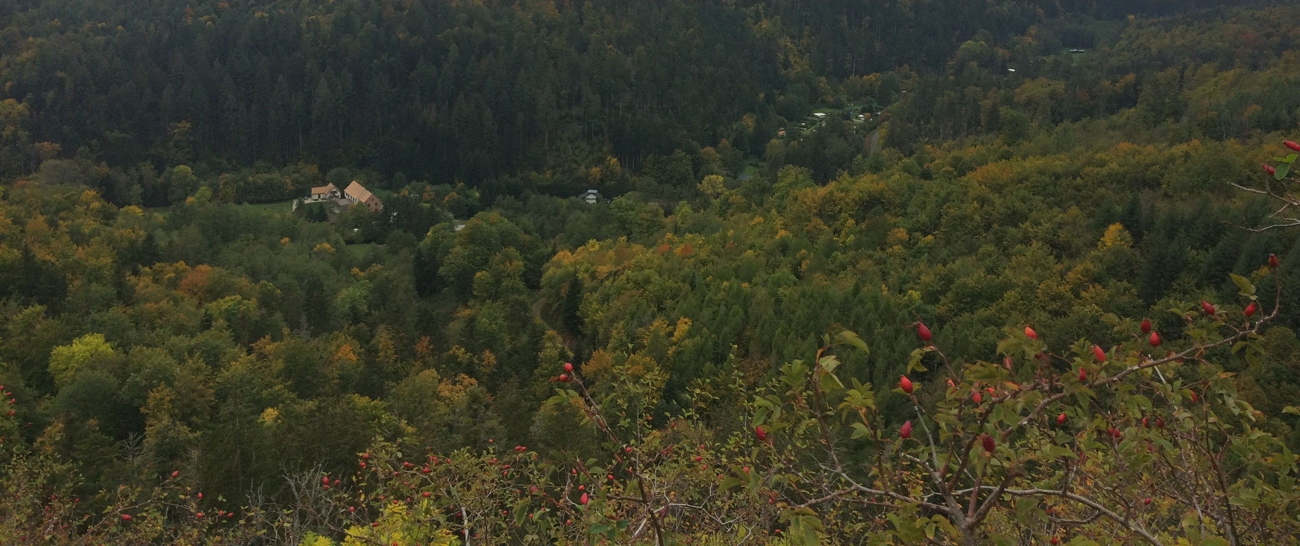 ...Point de vue panoramique