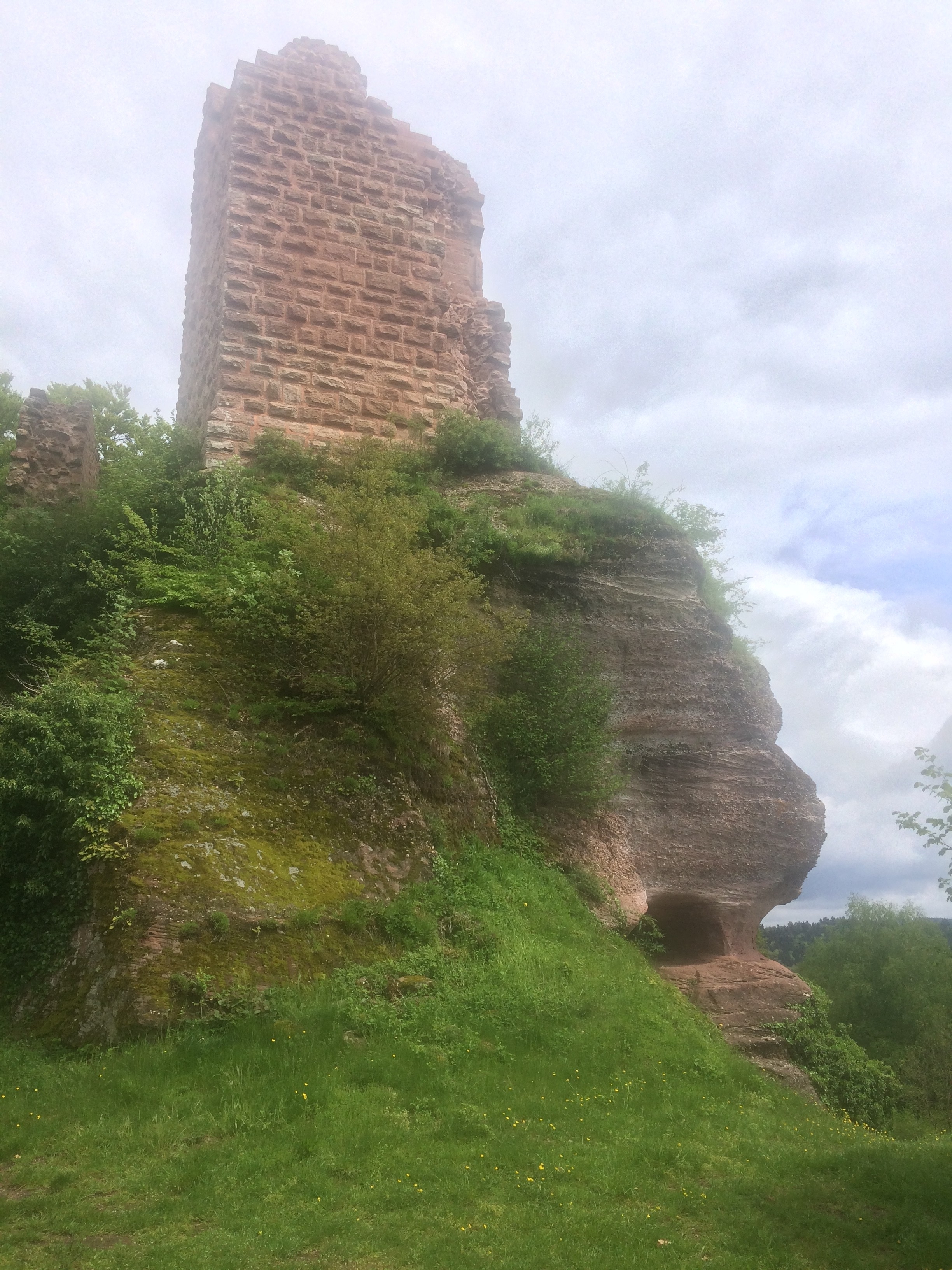 Ruines du château de Salm