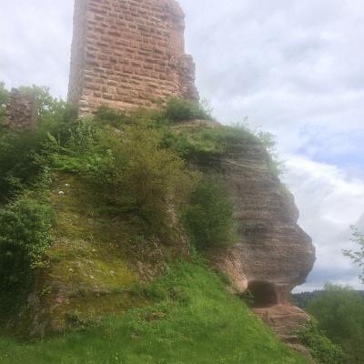 Ruines du château de Salm