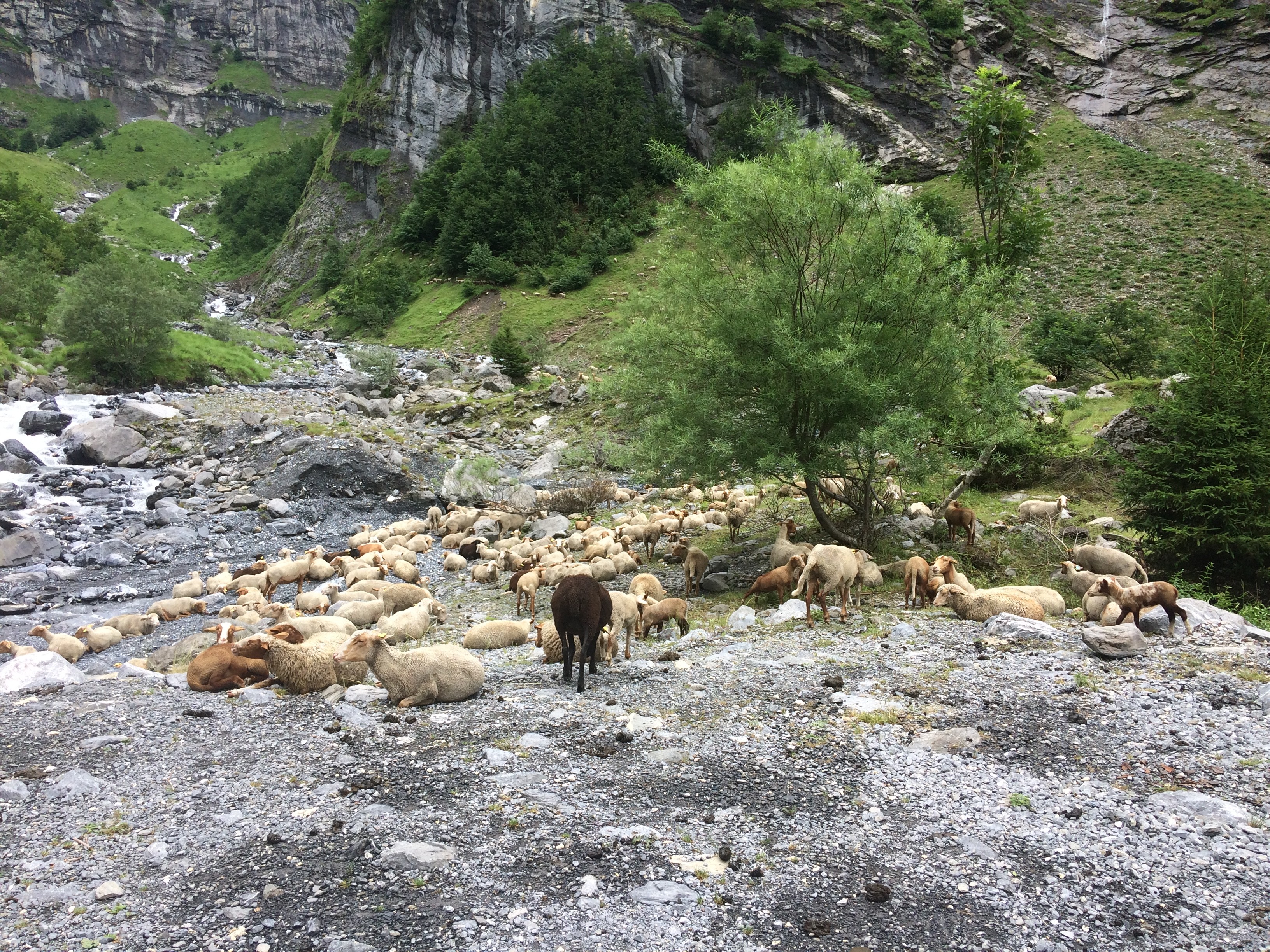 Un instant de repos