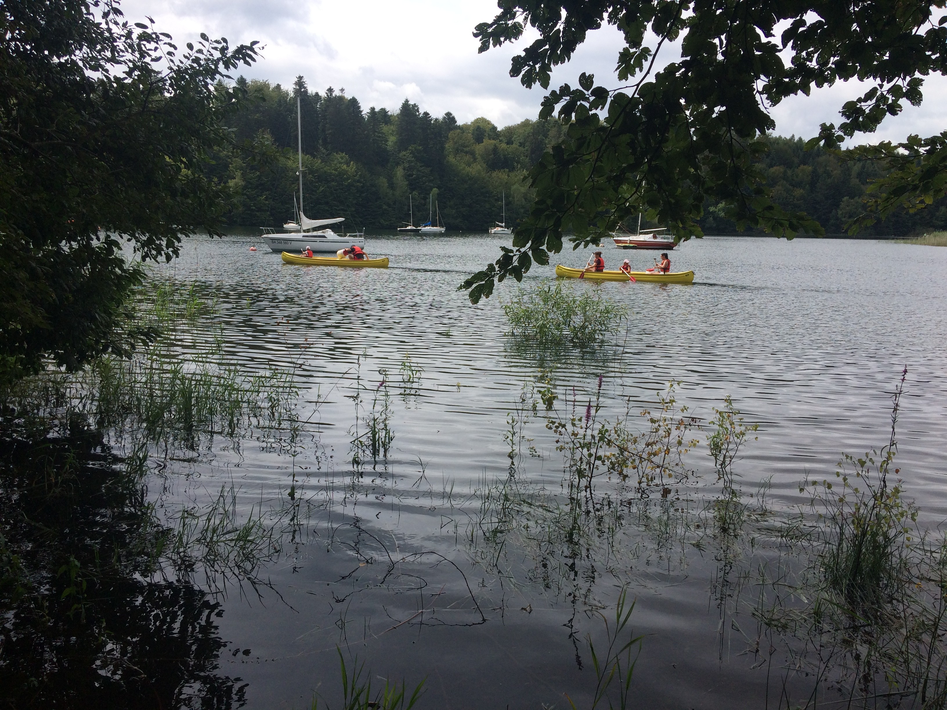 Un petit tour sur l'eau