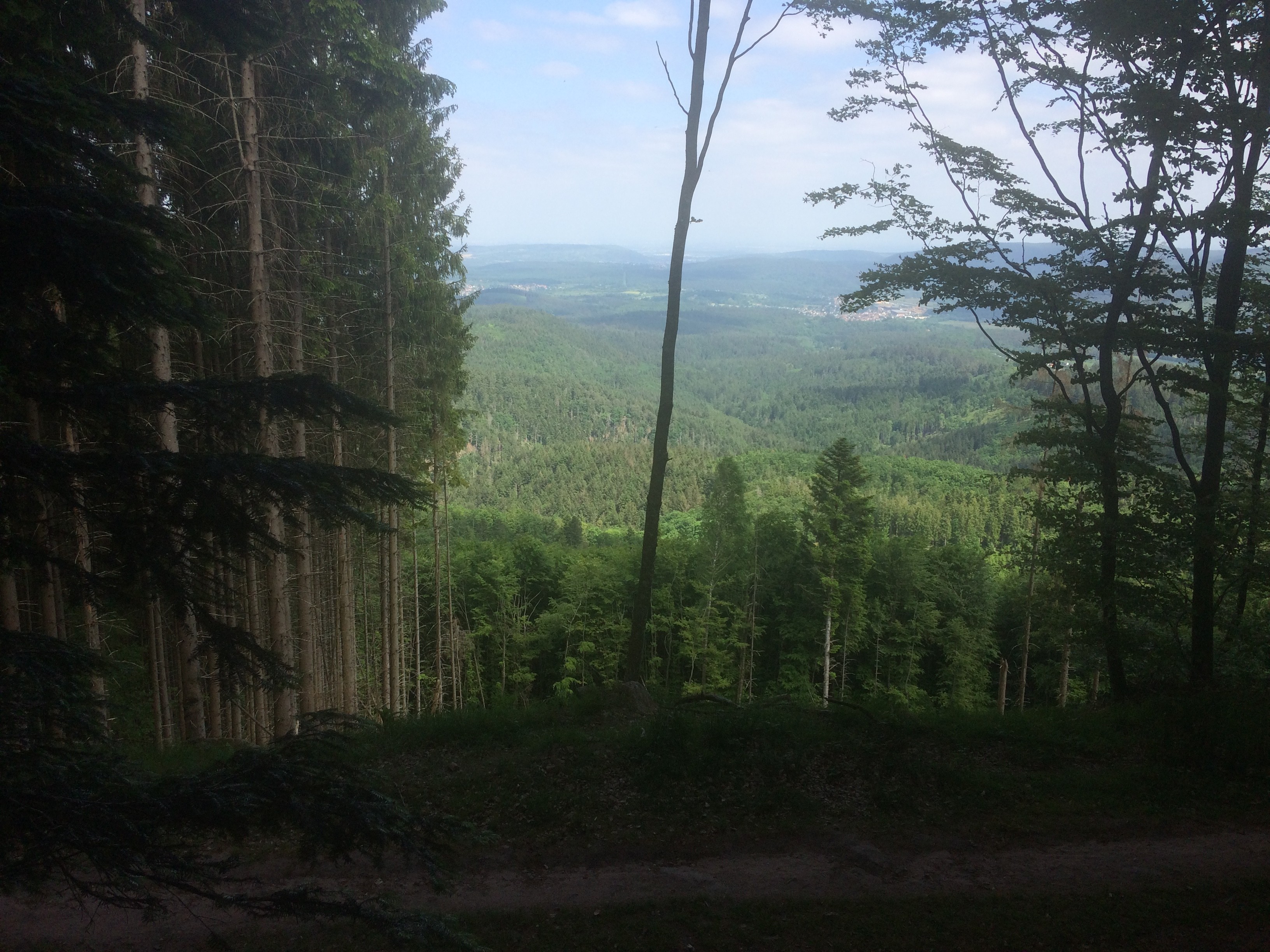 Vue panoramique sur Oberhaslach et Niederhaslach