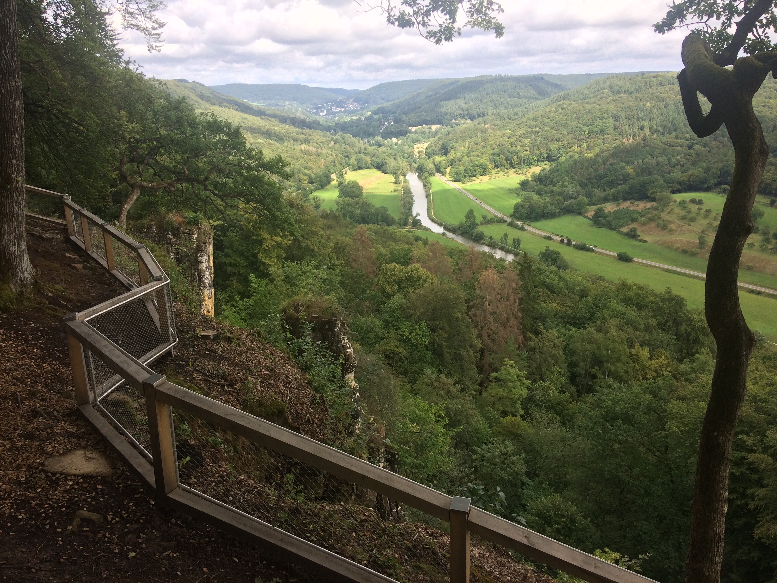 Vue panoramique
