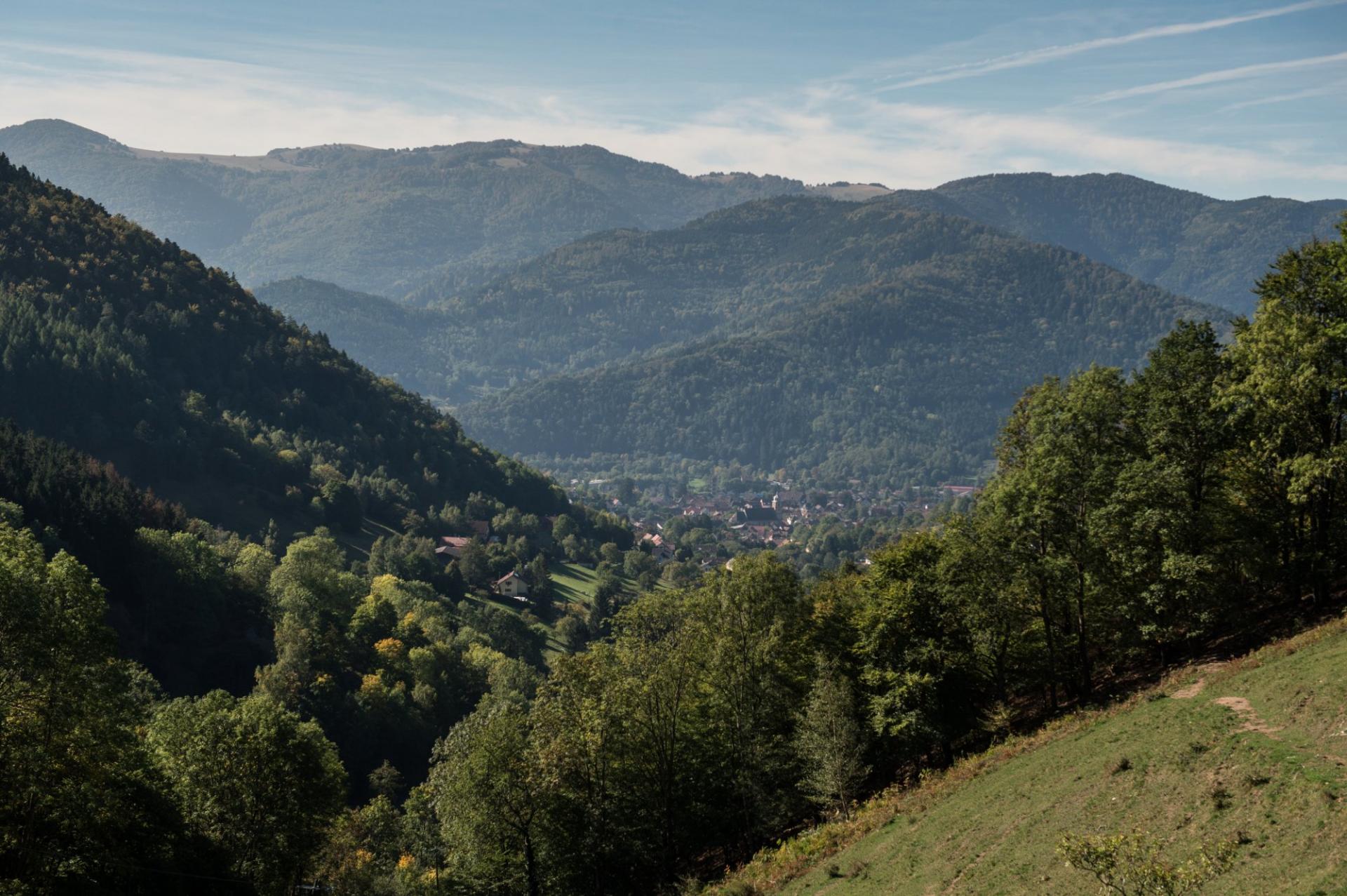 Paysage au mehrbachel